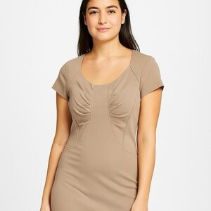 Max and Cleo Professional Business Tan Ruched Conference Front Dress Size 4